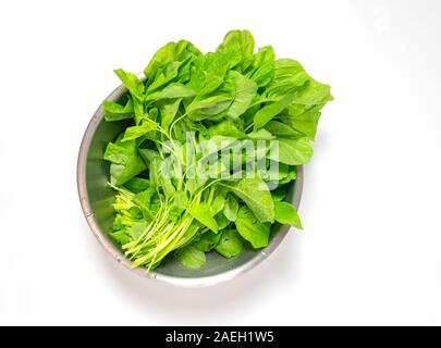 Bunch of Spinach in stainless steel bowl after cleaning. Isolated image on white background. Stock Photo