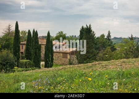 Hiking hills, backroads and vineyards at autumn, near Siena in Tuscany, Italy Stock Photo