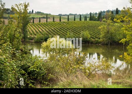 Hiking hills, backroads and vineyards at autumn, near Siena in Tuscany, Italy Stock Photo