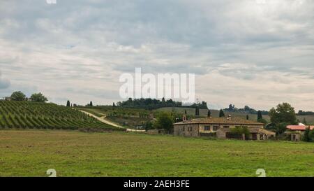 Hiking hills, backroads and vineyards at autumn, near Siena in Tuscany, Italy Stock Photo