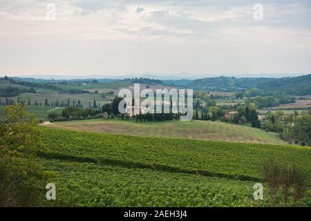 Hiking hills, backroads and vineyards at autumn, near Siena in Tuscany, Italy Stock Photo