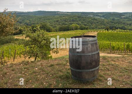 Hiking hills, backroads and vineyards at autumn, near Siena in Tuscany, Italy Stock Photo