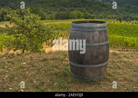 Hiking hills, backroads and vineyards at autumn, near Siena in Tuscany, Italy Stock Photo