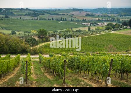 Hiking hills, backroads and vineyards at autumn, near Siena in Tuscany, Italy Stock Photo