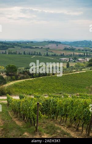 Hiking hills, backroads and vineyards at autumn, near Siena in Tuscany, Italy Stock Photo