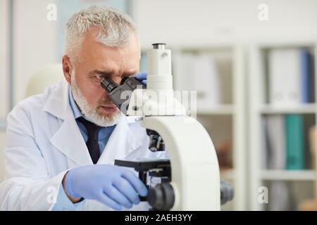 Serious mature scientist with grey hair looking through the microscope while working in the laboratory Stock Photo