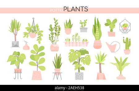 Potted plants collection - set of vector elements Stock Vector