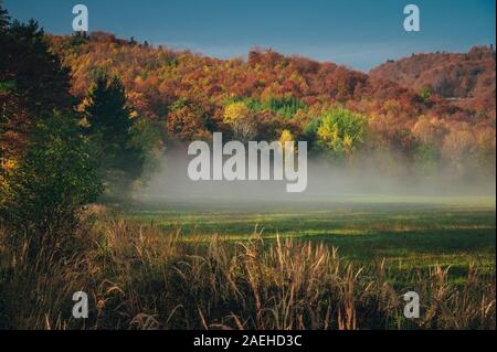 Peaceful autumn morning scenery by Carpathian forest Stock Photo