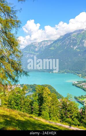 Turquoise Lake Brienz in Interlaken, Switzerland photographed from the hiking path to Harder Kulm. Amazing Swiss landscape. Green hills and Alpine lake in the valley. Summer Alpine landscapes. Stock Photo