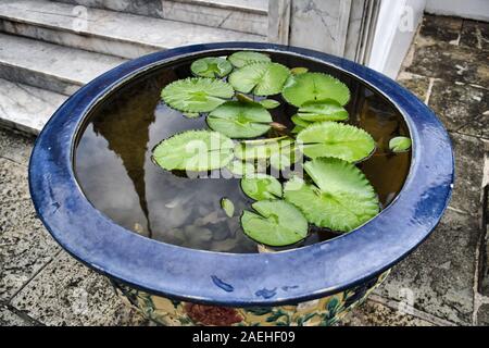 Bangkok, Thailand 11.24.2019: Lily pads in water in a decorated, traditional Thai pod with the reflection of one prang (tower) of the Temple of the Em