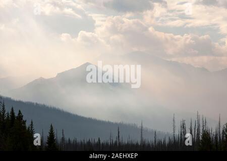 Boreal Forest burnt and a forest fire raging on Octopus Mountain in Kootenay National Park, Canada. The Alberta tar sands in Canada are the largest in Stock Photo