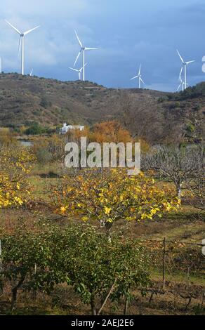 Wind turbines in the lower Guadiana valley, straddling the border between Portugal and Spain Stock Photo