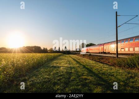 German red train moving on railway at sunrise, in spring scenery. Regional train and yellow flower field. Rapeseed and traveling train. Moving train. Stock Photo