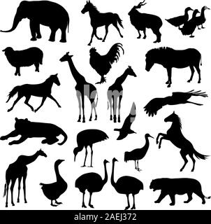 Black set silhouettes  zoo animals collection on white background. Vector illustration. Stock Vector