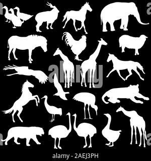 Black set silhouettes  zoo animals collection on white background. Vector illustration. Stock Vector