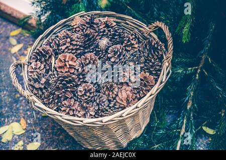 top view of wicker basket full of dried pine cones in winter Stock Photo