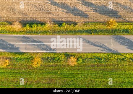 Road between green field and cultivated ground with yellow trees at sunset in autumn. Aerial view on empty asphalt speedway or trees alley. Stock Photo