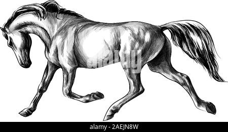 Horse run gallop on a white background. Hand drawn sketch. Vector illustration of paints Stock Vector