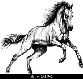 Horse run gallop on a white background. Hand drawn sketch. Vector illustration of paints Stock Vector