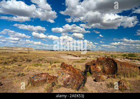 Petrified Forest National Park (fossils and large deposits of petrified wood from the late Triassic age) Arizona, USA Stock Photo