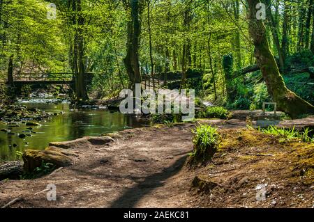 Footbridge in the Rivelin Valley, near Sheffield Stock Photo