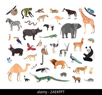 FUNNY CARTOON ARTS DESIGN VECTOR Stock Vector