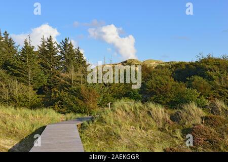 Boardwalk through Amrum Dunes Nature Reserve, North Frisia, Nebel, Amrum, Schleswig-Holstein, Germany Stock Photo