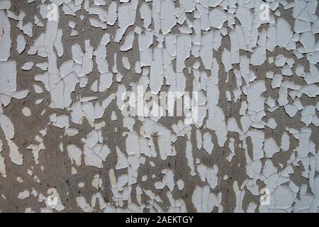 Distressed building wall with white old aged paint peeling chipping off textured background Stock Photo