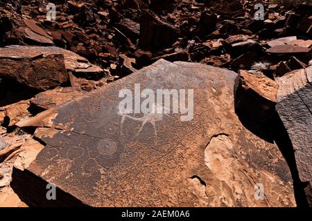 Ancient bushman rock engravings'Dancing Kudu', Twyfelfontein or /Ui-//aes, Damaraland(Erongo), Namibia, Southern Africa, Africa Stock Photo