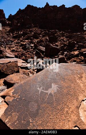 Ancient bushman rock engravings'Dancing Kudu', Twyfelfontein or /Ui-//aes, Damaraland(Erongo), Namibia, Southern Africa, Africa Stock Photo