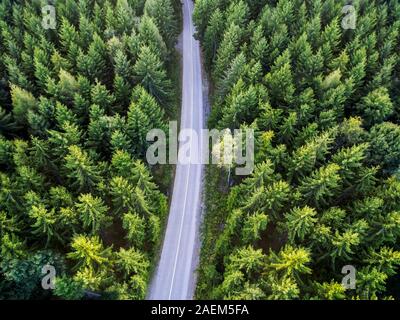 Top view of dark green forest landscape in winter. Aerial nature scene of pine trees and asphalt road. Countryside path trough coniferous wood form ab Stock Photo