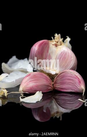 Garkic bulb and cloves with reflection isolated on a black background Stock Photo