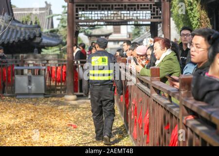 People watch the 1400-thousand-year-old ginkgo tree, planted by Emperor Taizong of Tang, or Li Shimin, the second emperor of the Tang dynasty of China Stock Photo