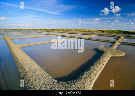 Salt Marshes at Saillé, Brittany, France. Production of famous sea salt near Guerande. Stock Photo