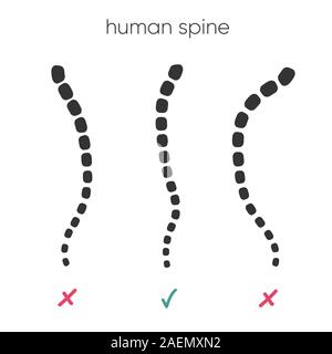 Three spines on the screen. Vector Illustration Doctor Studying Problems Spine Patient. Doctor Uses Virtual. Stock Vector
