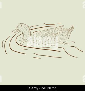 Wild duck. Hand-painted vector illustration. Stock Vector