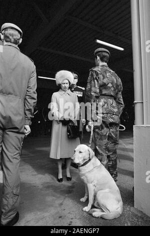 Prawn, a Labrador 'sniffer' dog, looks away from Queen Elizabeth II and his handler during a Royal visit to the Corps of Royalty Military Police at Roussillon Barracks, Chichester. Stock Photo