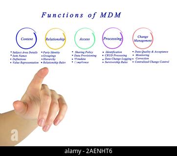 Functions of master data management Stock Photo - Alamy