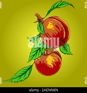 Two peaches with leaves on a branch on a light background Stock Vector