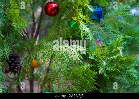 Pine tree and decoration doll with gift boxes at blurred  background, Merry Christmas and Happy new year concept Stock Photo