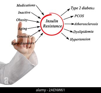 Causes of Insulin Resistance Stock Photo