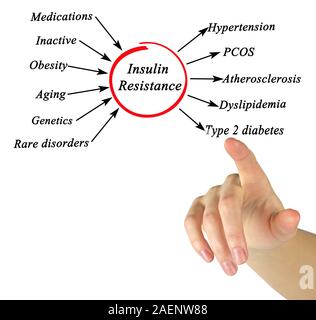 Causes of Insulin Resistance Stock Photo