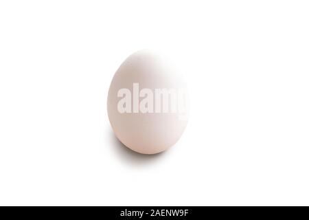 Single white egg isolated on white background cutout Stock Photo