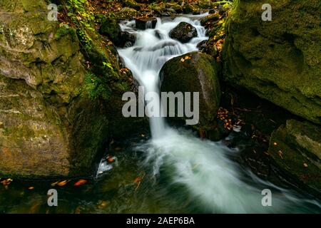 Oirase Mountain Stream flow passing green mossy rocks covered with colorful falling leaves of autumn season at Oirase Gorge in Towada hachimantai Nati Stock Photo