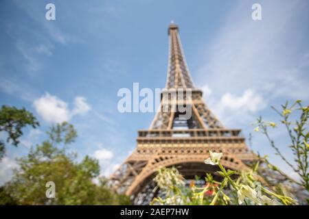 Eiffel Tower in the Sun Stock Photo