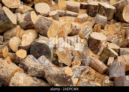 Large mound of freshly cut wood logs piled randomly Stock Photo