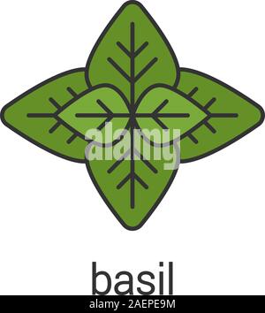 basil pesto plant cartoon vector illustration Stock Vector Image & Art ...