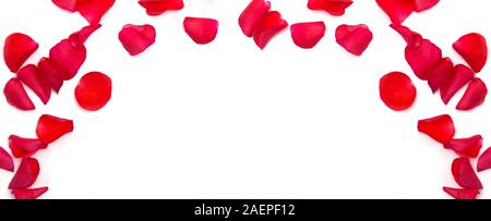 Frame with red rose petals isolated on white background Stock Photo