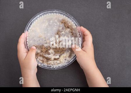 Bone broth made from chicken or pork or beef in container, with carrots, onions on light background Stock Photo