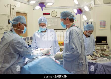 Surgeons at an NHS Hospital perform a knee operation, known as an Arthroplasty, to repair the damaged joint with an artificial one. Stock Photo